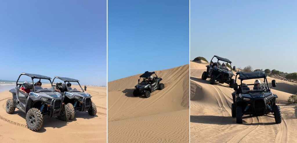 buggy à Essaouira : forêt, dunes et plage